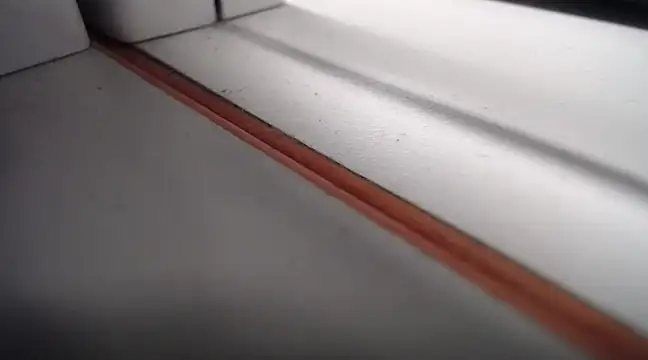 lovense test04 online show from 02.21.25