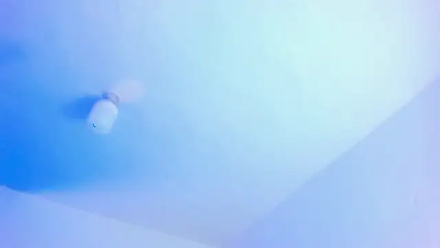 Snapshot of Emily_Gil1 chatting on 01.21.25 Emily Gil1 online show from 01.21.25