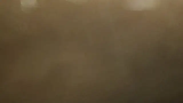 Alphapimmelchen online show from 02.21.25