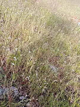 Snapshot of sexoooj chatting on 10.22.25 sexoooj online show from 10.22.25