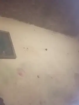 sexlockoxxx online show from 01.11.26