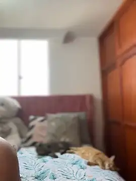 ValerieHilton online show from 03.12.25