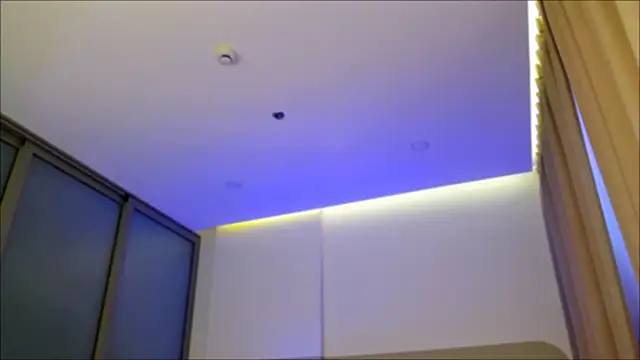 wow Mia online show from 12.24.24