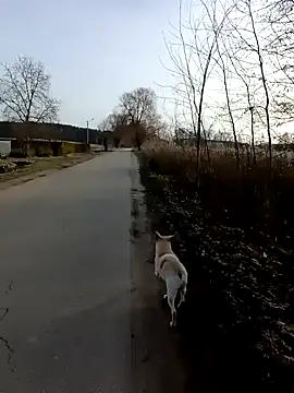 Snapshot of zxcalientes chatting on 01.01.25 zxcalientes online show from 01.01.25