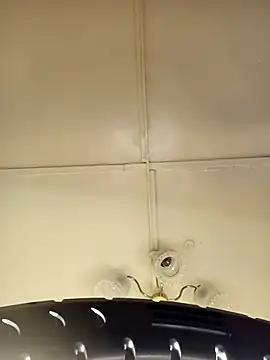    Midnight    online show from 03.15.26