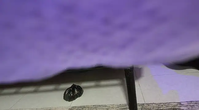 sweet-greedy online show from 02.06.25