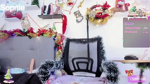 Snapshot of Sophiehuntress chatting on 12.17.24 Sophiehuntress online show from 12.17.24