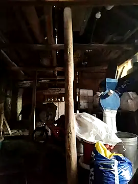 Snapshot of Sarpe84 chatting on 01.19.25 Sarpe84 online show from 01.19.25