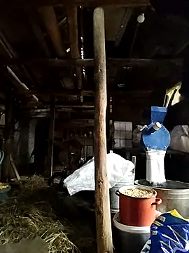 Snapshot of Sarpe84 chatting on 01.24.25 Sarpe84 online show from 01.24.25