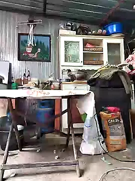 Snapshot of Sarpe84 chatting on 01.24.25 Sarpe84 online show from 01.24.25