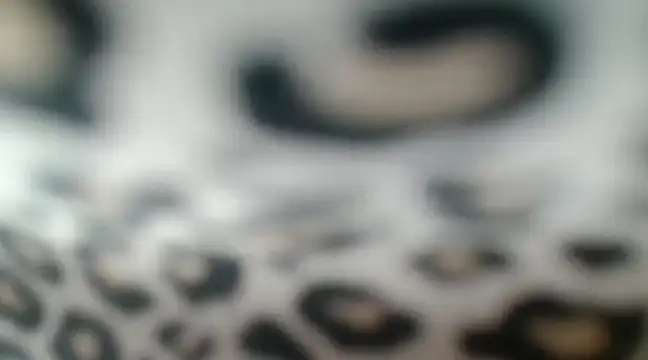 Snapshot of CrystalBrooke3x chatting on 01.26.25 CrystalBrooke3x online show from 01.26.25