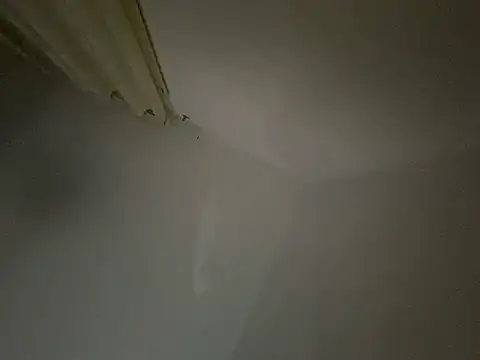 Snapshot of Bossinmidd12 chatting on 02.22.25 Bossinmidd12 online show from 02.22.25