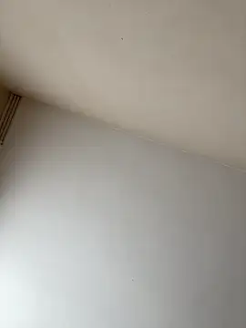 rpotktkkt online show from 11.20.25