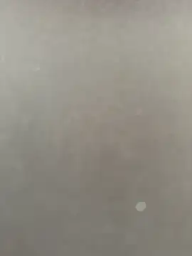 Syka0001 online show from 02.14.26