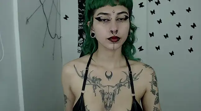 n0sferatus   online show from 01.07.25