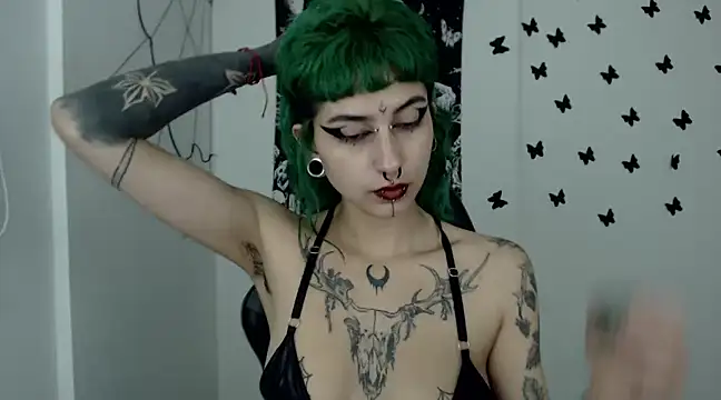 n0sferatus   online show from 01.07.25