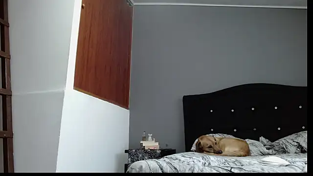 Snapshot of Emilia_1995 chatting on 01.30.25 Emilia 1995 online show from 01.30.25