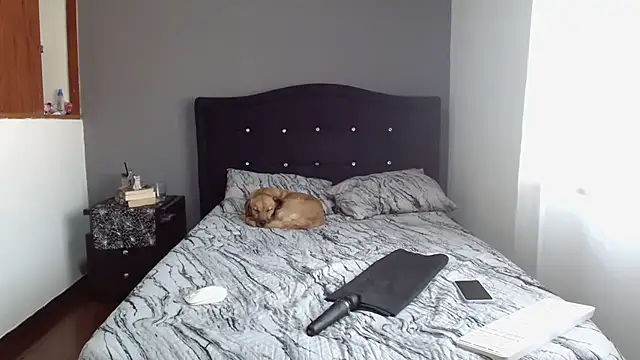 Snapshot of Emilia_1995 chatting on 02.11.25 Emilia 1995 online show from 02.11.25