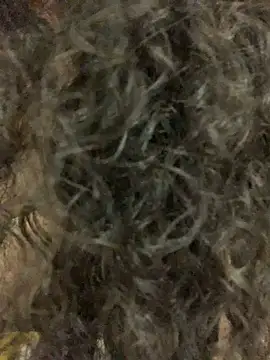 Antoniart  online show from 02.09.25