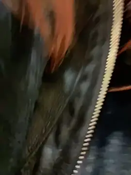 Snapshot of RinaCat chatting on 12.24.24 RinaCat online show from 12.24.24