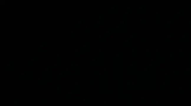 katy pp online show from 01.11.25