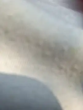 Priya Bong online show from 02.25.26