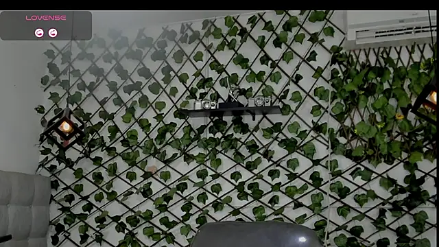 emy 0 online show from 01.05.26