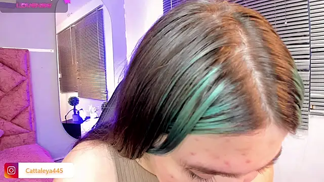 cattaleya    online show from 02.19.25