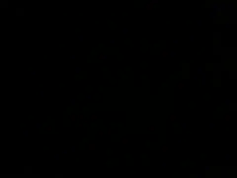 ArtemMR online show from 12.13.24