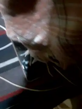 Rojatelugu89 online show from 01.08.26