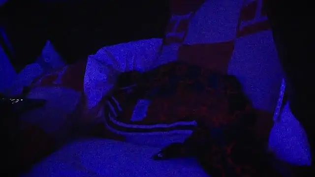 Snapshot of YouLikeBigDick9 chatting on 03.07.25 YouLikeBigDick9 online show from 03.07.25