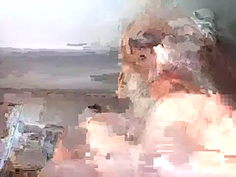 Xoc8  online show from 02.26.26