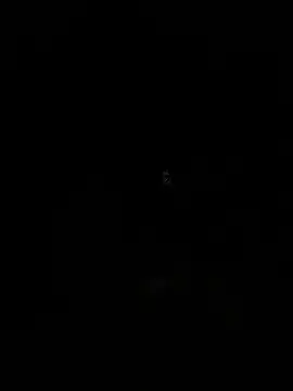 emea4 online show from 12.19.25