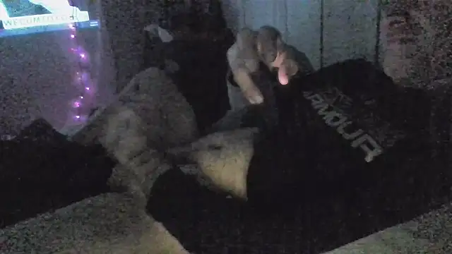 jaxx12369 online show from 12.05.25