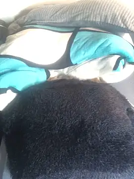 Snapshot of sexy_barbie254 chatting on 03.02.25 sexy barbie254 online show from 03.02.25