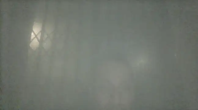 margiale84 online show from 12.19.24