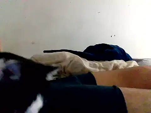 Snapshot of yass56789 chatting on 11.15.25 yass56789 online show from 11.15.25