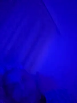 denisxlRo online show from 03.16.25