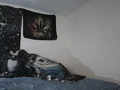 webetokinmo420 online show from 11.29.25