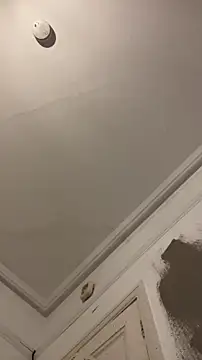 Snapshot of pervy_devil chatting on 11.19.25 pervy devil online show from 11.19.25