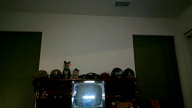 pimpdaddy4ever online show from 03.08.26