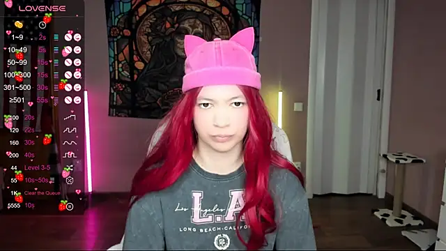 Project hisoka online show from 01.19.25