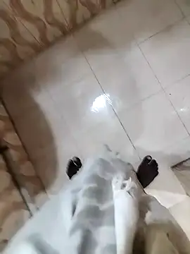 bas1cooks online show from 12.22.24