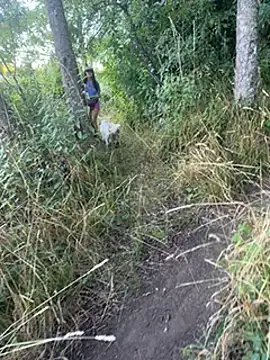 Reinacatchile online show from 01.31.25