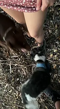 Reinacatchile online show from 02.06.25