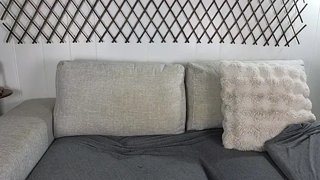 Snapshot of aryafrei chatting on 03.02.26 aryafrei online show from 03.02.26