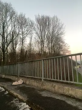 NickyGold Official online show from 01.18.25