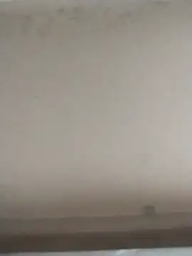 tatoocba88 online show from 11.28.25