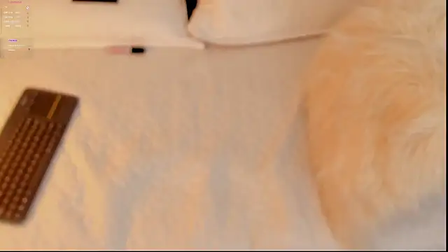 FabianPriince online show from 01.14.25