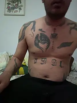 sikergecer3435 online show from 03.02.26